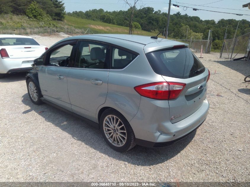 2013 FORD C-MAX HYBRID SEL - 1FADP5BU0DL530070