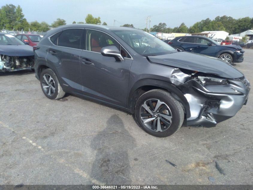 2020 LEXUS NX NX 300H - JTJGJRDZ4L5007840