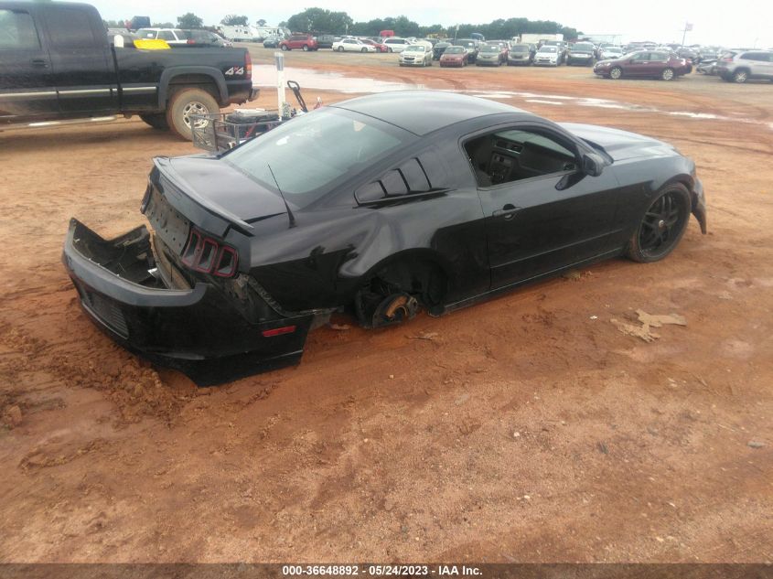 2013 FORD MUSTANG V6 - 1ZVBP8AM2D5220380