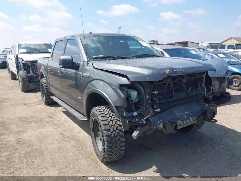 2016 FORD F-150 XLT/XL/LARIAT/PLATINUM - 1FTEW1EG1GKE43532