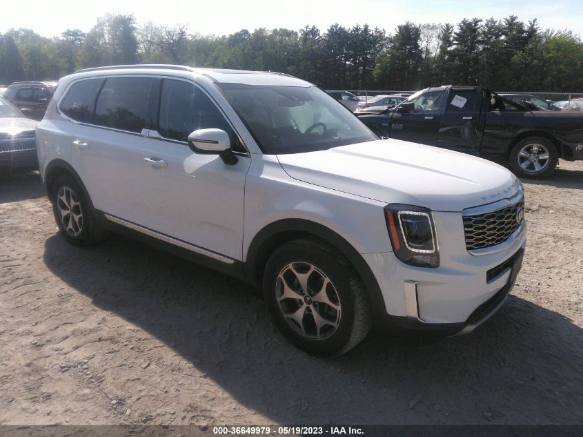 2021 KIA TELLURIDE EX - 5XYP3DHC5MG102759