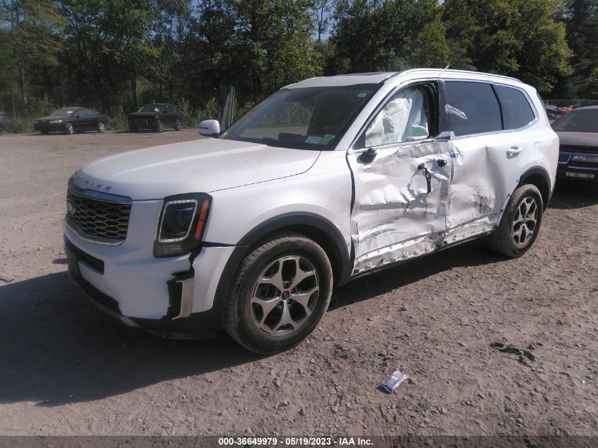2021 KIA TELLURIDE EX - 5XYP3DHC5MG102759