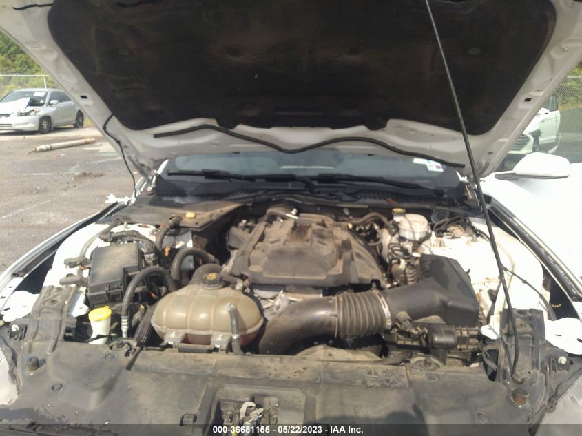 2019 FORD MUSTANG ECOBOOST - 1FA6P8TH4K5116772