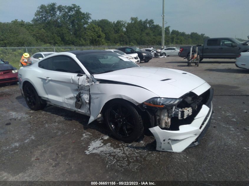 2019 FORD MUSTANG ECOBOOST - 1FA6P8TH4K5116772