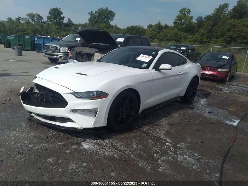 2019 FORD MUSTANG ECOBOOST - 1FA6P8TH4K5116772