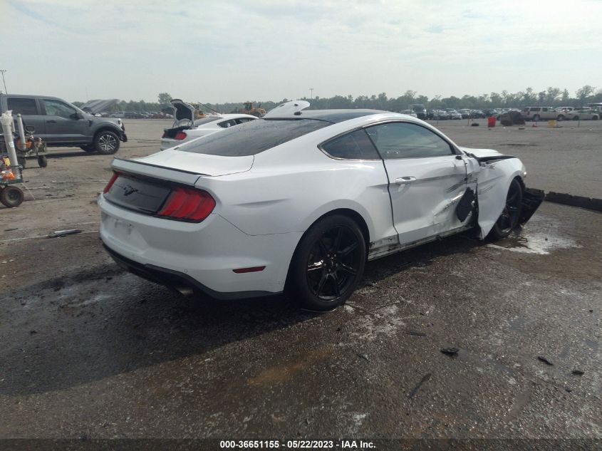 2019 FORD MUSTANG ECOBOOST - 1FA6P8TH4K5116772