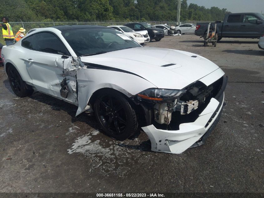 2019 FORD MUSTANG ECOBOOST - 1FA6P8TH4K5116772