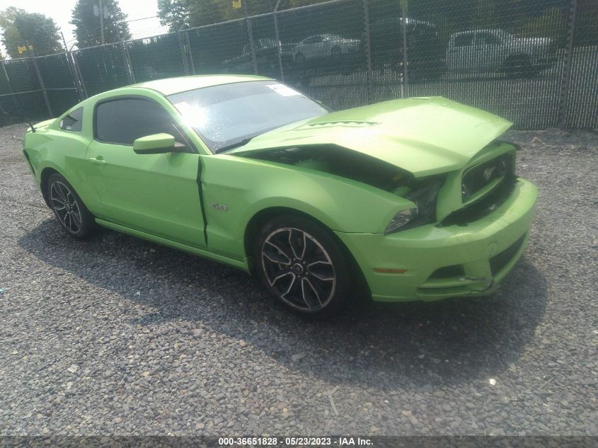 2013 FORD MUSTANG GT - 1ZVBP8CF7D5244740