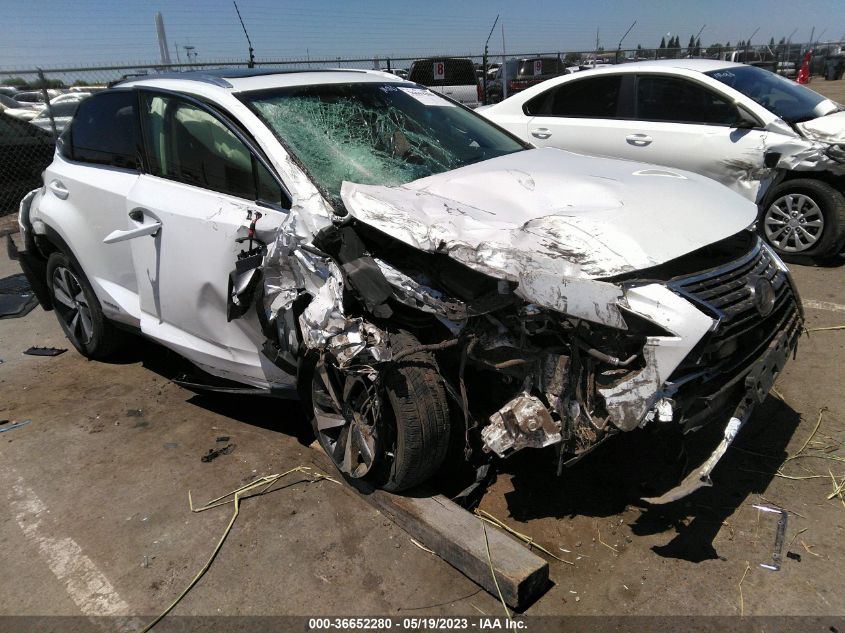 JTJBJRBZ1K2102692 LEXUS NX NX 300H 2019