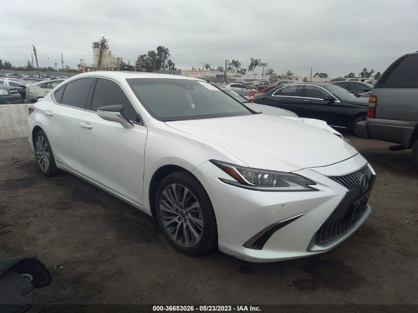 2021 LEXUS ES ES 300H - 58ADA1C11MU005171
