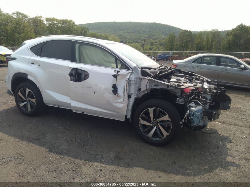 2020 LEXUS NX NX 300 - JTJGARDZ2L5017363