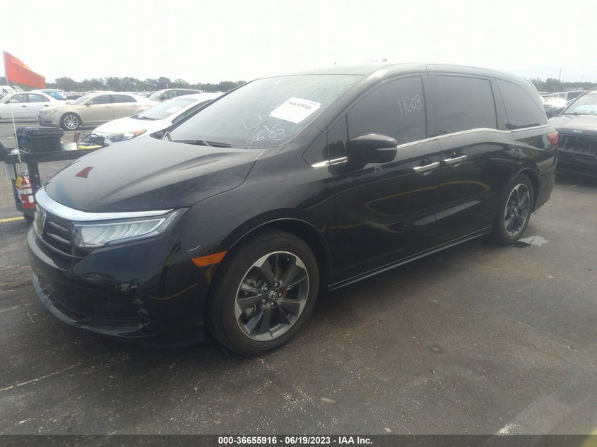 VIN 5FNRL6H9XNB068352 2022 HONDA ODYSSEY ELITE