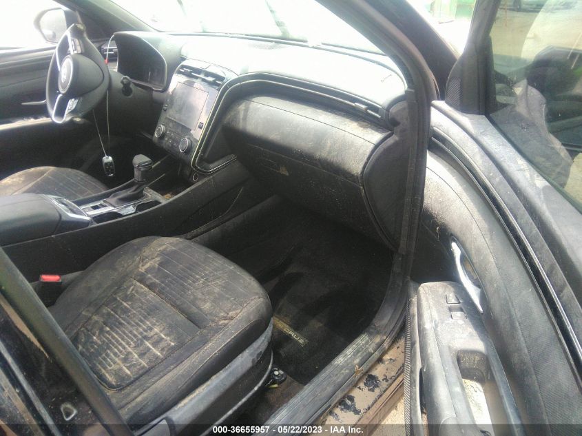 2023 HYUNDAI SANTA CRUZ SEL - 5NTJBDAG6PH063604