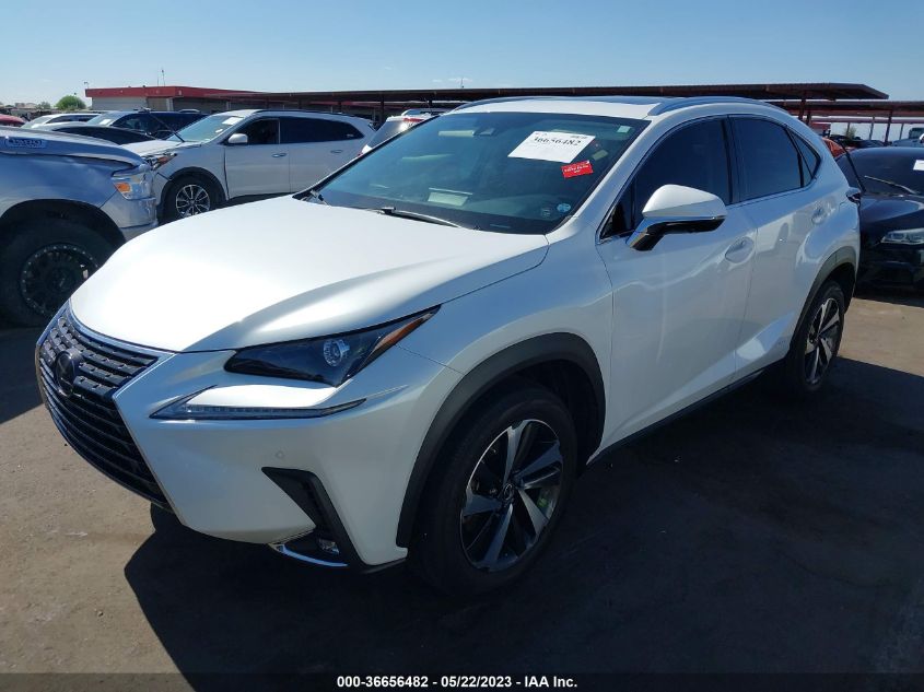2020 LEXUS NX NX 300H - JTJGJRDZ5L5007457