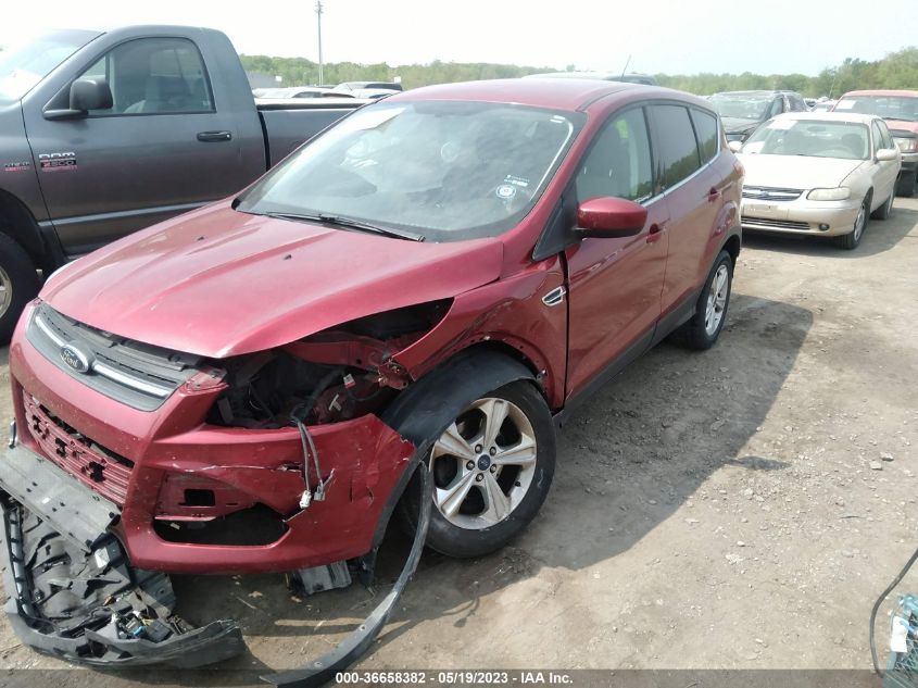 2014 FORD ESCAPE SE - 1FMCU0GXXEUB67062