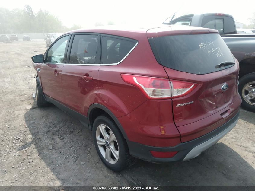 2014 FORD ESCAPE SE - 1FMCU0GXXEUB67062