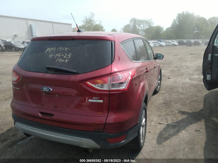 2014 FORD ESCAPE SE - 1FMCU0GXXEUB67062