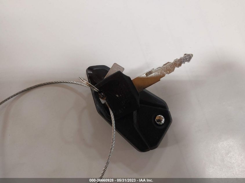 2020 HONDA GROM 125 - MLHJC7517L5200044