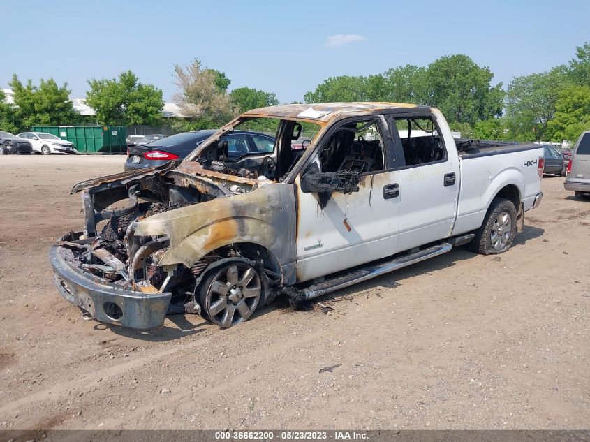 2013 FORD F-150 XL/XLT/FX4/LARIAT - 1FTFW1ET3DKE17513