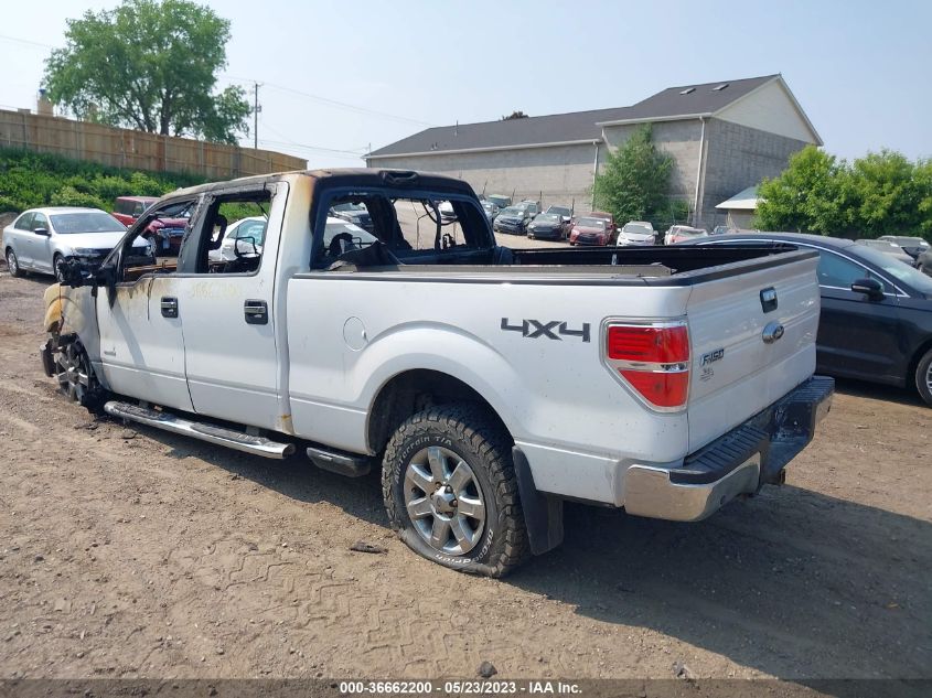 2013 FORD F-150 XL/XLT/FX4/LARIAT - 1FTFW1ET3DKE17513