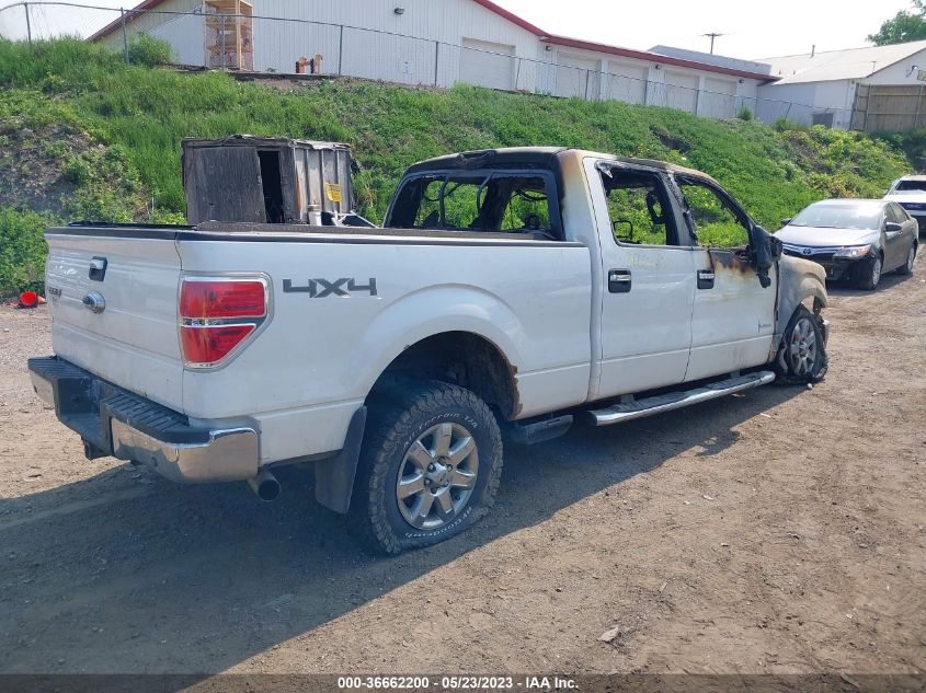 2013 FORD F-150 XL/XLT/FX4/LARIAT - 1FTFW1ET3DKE17513