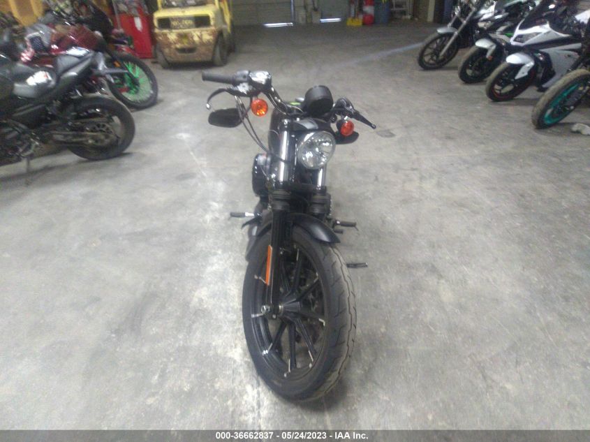 2021 HARLEY-DAVIDSON XL883 N - 1HD4LE223MB406769