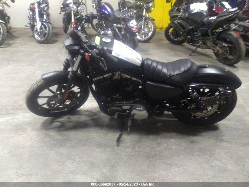 2021 HARLEY-DAVIDSON XL883 N - 1HD4LE223MB406769