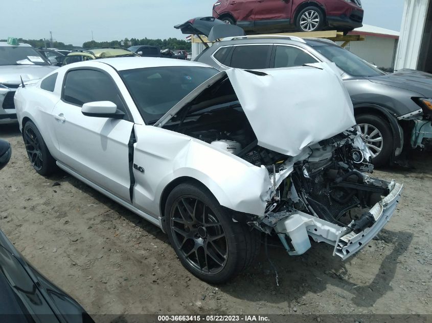 2014 FORD MUSTANG GT - 1ZVBP8CF1E5299119