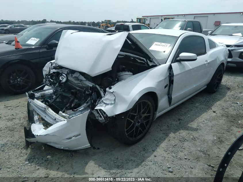 2014 FORD MUSTANG GT - 1ZVBP8CF1E5299119