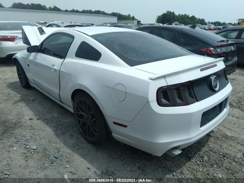 2014 FORD MUSTANG GT - 1ZVBP8CF1E5299119