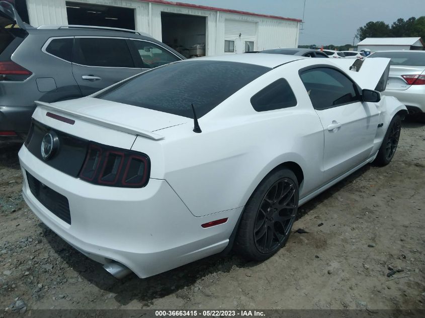 2014 FORD MUSTANG GT - 1ZVBP8CF1E5299119