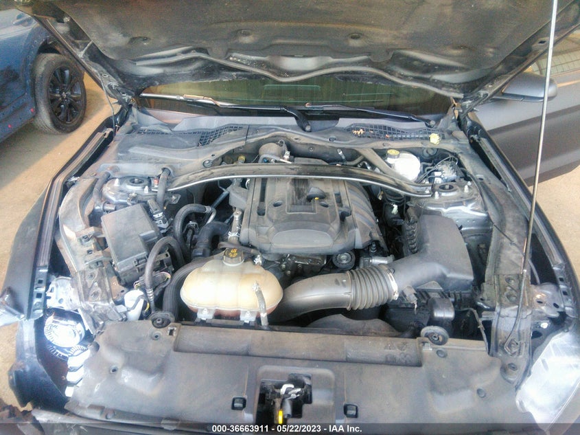 VIN 1FA6P8TH7K5169630 2019 FORD MUSTANG ECOBOOST