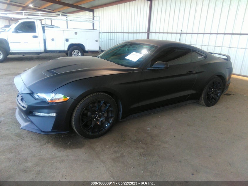 VIN 1FA6P8TH7K5169630 2019 FORD MUSTANG ECOBOOST