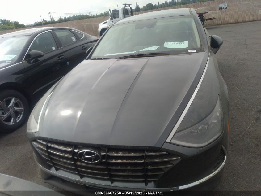 2023 HYUNDAI SONATA SE - KMHL24JA5PA316841