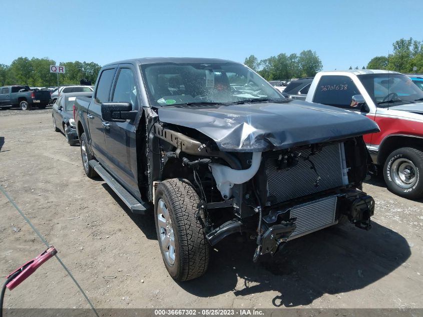 2023 FORD F-150 XL/XLT/LARIAT - 1FTFW1E83PFA32445