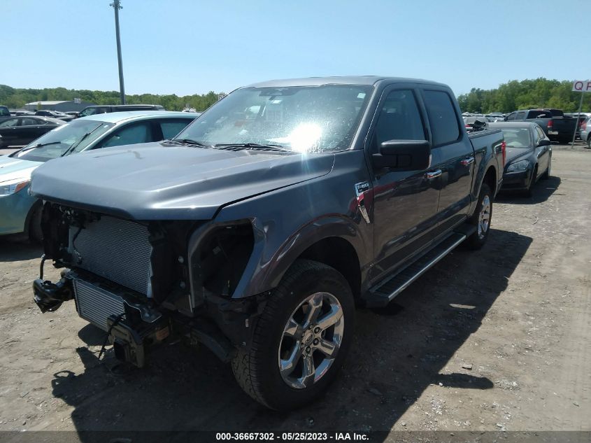 2023 FORD F-150 XL/XLT/LARIAT - 1FTFW1E83PFA32445