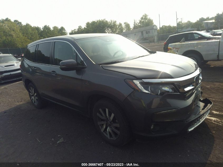 2019 HONDA PILOT EX-L - 5FNYF6H59KB042062