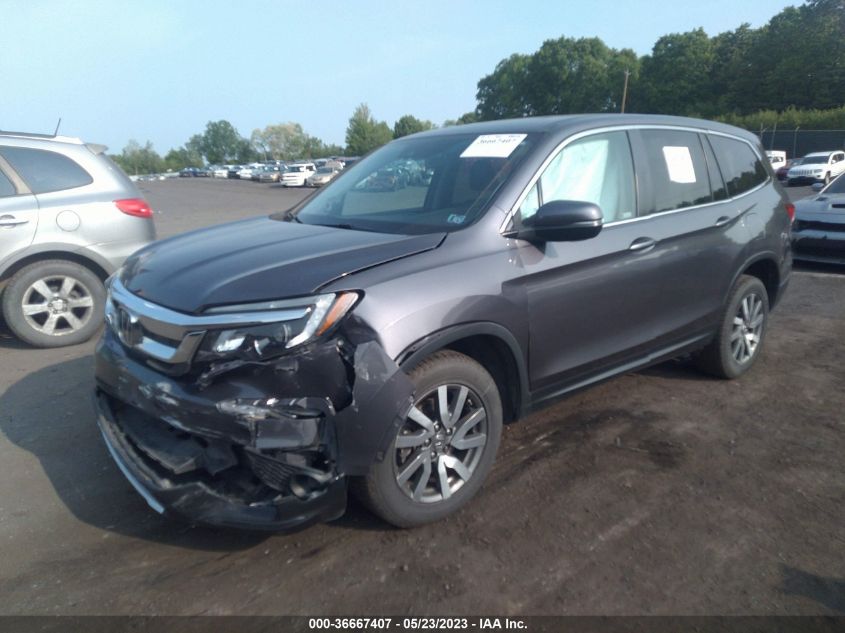 2019 HONDA PILOT EX-L - 5FNYF6H59KB042062