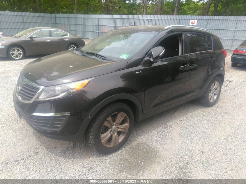 2013 KIA SPORTAGE LX - KNDPBCA24D7520497