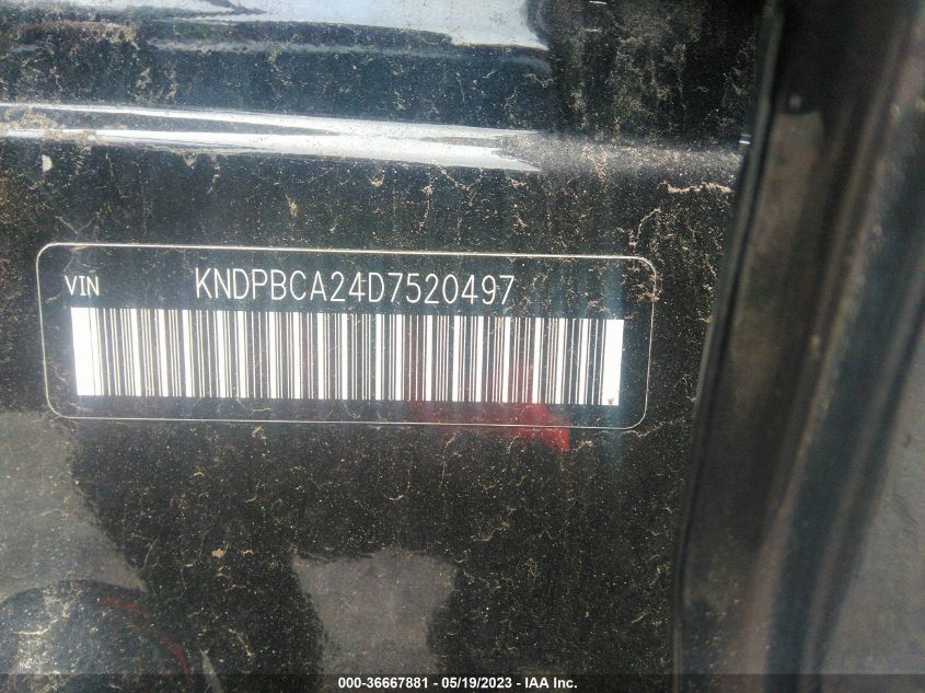 2013 KIA SPORTAGE LX - KNDPBCA24D7520497