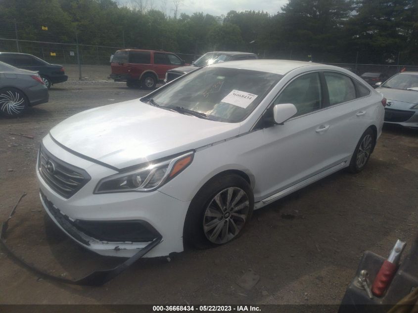 2016 HYUNDAI SONATA 2.4L SPORT - 5NPE34AFXGH311908