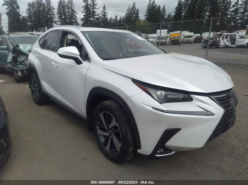 2020 LEXUS NX NX 300H - JTJGJRDZ1L5000490