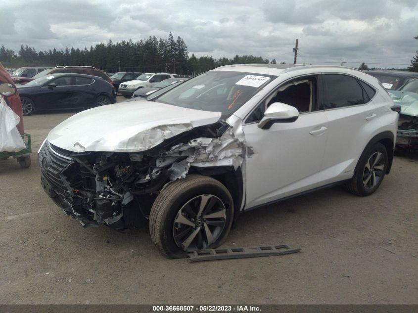 2020 LEXUS NX NX 300H - JTJGJRDZ1L5000490