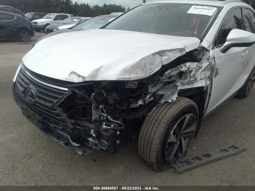 2020 LEXUS NX NX 300H - JTJGJRDZ1L5000490