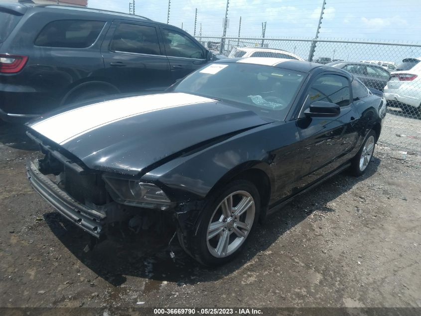 2014 FORD MUSTANG V6 - 1ZVBP8AM9E5319019