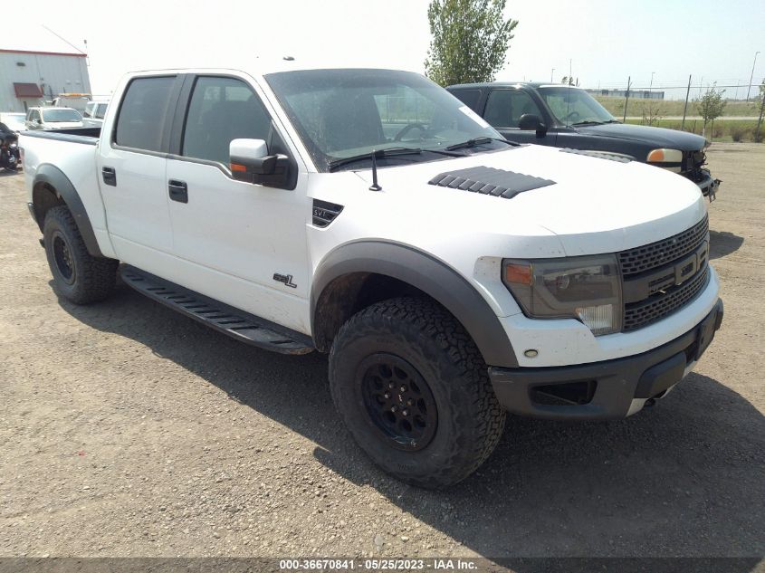 2013 FORD F-150 SVT RAPTOR - 1FTFW1R68DFB37650