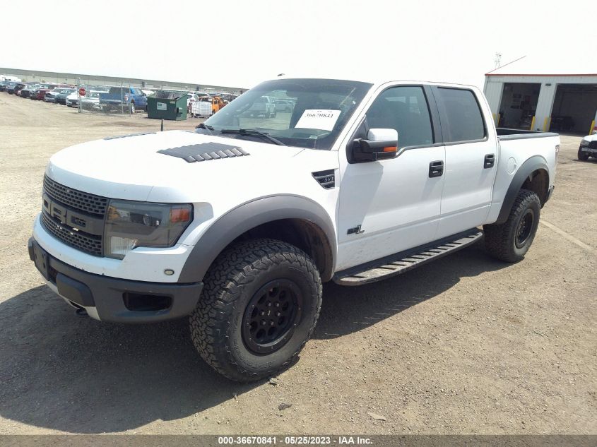 2013 FORD F-150 SVT RAPTOR - 1FTFW1R68DFB37650