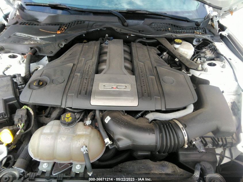 2019 FORD MUSTANG GT - 1FA6P8CF7K5105778
