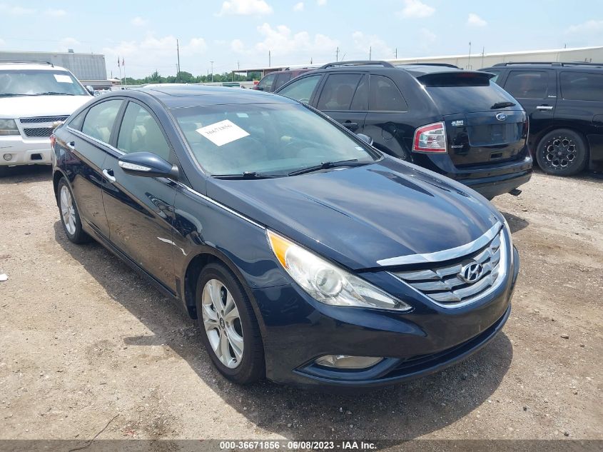 2013 HYUNDAI SONATA LIMITED - 5NPEC4AC8DH772087