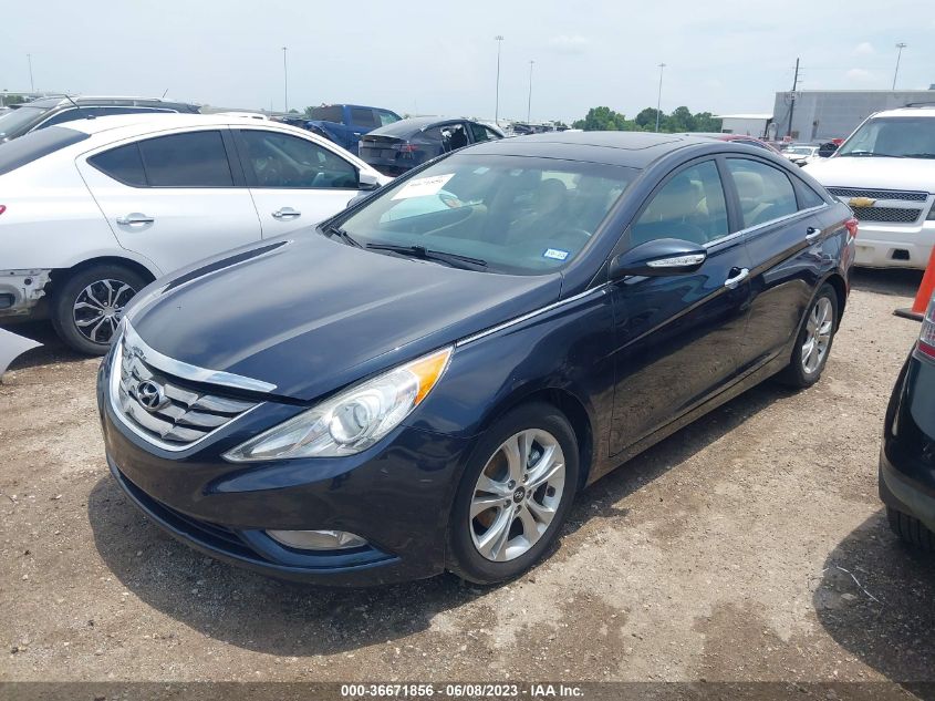 2013 HYUNDAI SONATA LIMITED - 5NPEC4AC8DH772087